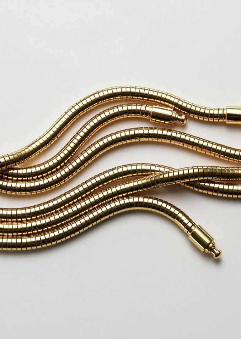 Snake